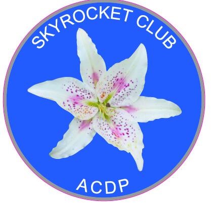 Skyrocket Club Pin Edited